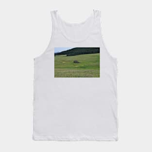 Old Mountain House Tank Top